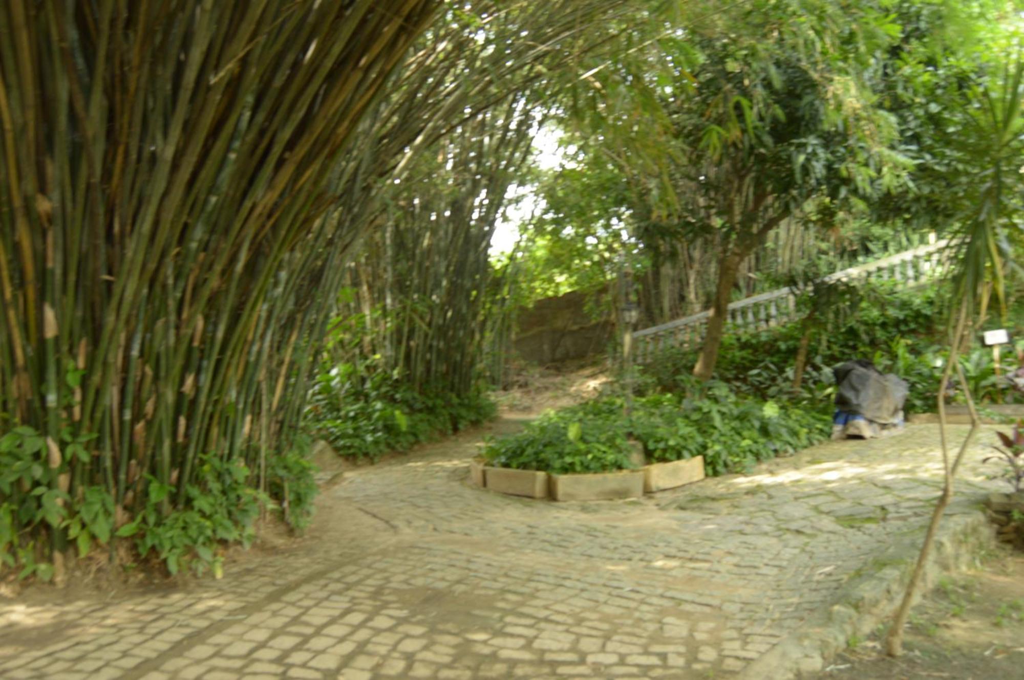 Rio Natureza Adaptado Apart 101 Rio de Janeiro Bagian luar foto